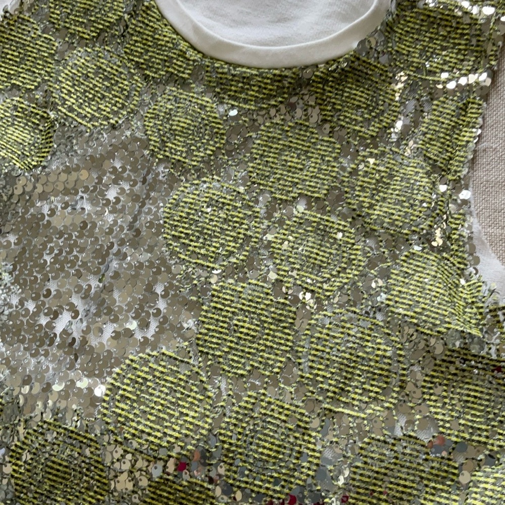 Zara Trafaluc Green and Silver Sequin Dress - Picture 7 of 16